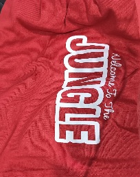 Private Label Boys Shorts Red Colour XL Size