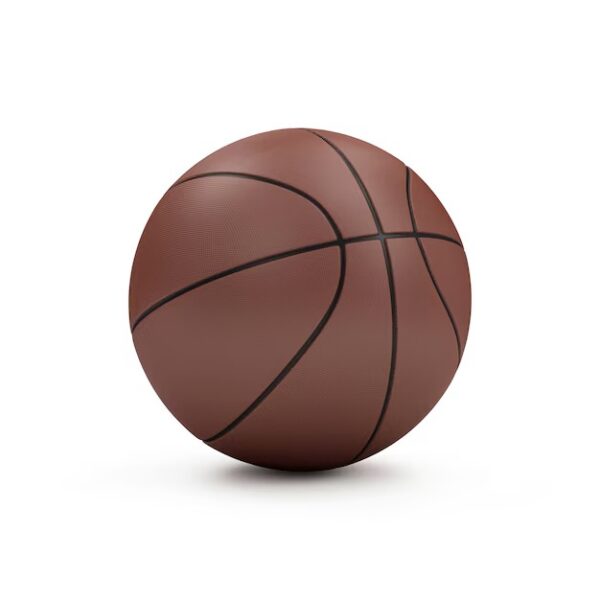 Private Label Basketball Brown Colour