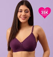 Clovia Womens Padded Bra Purple Colour 85cm