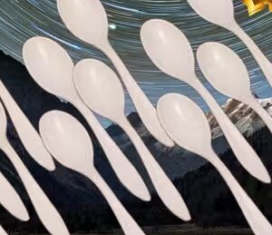 Private Label Plastic Dinner Spoon White Colour Pack Of 6