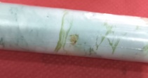 Private Label Private Label White And Green Wall Stick