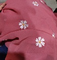 Private Label Womens Silk Saree Mauve Colour