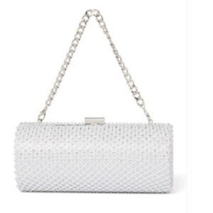 Forever New Hailey Cylinder Embellished Box Clutch purse silver colour