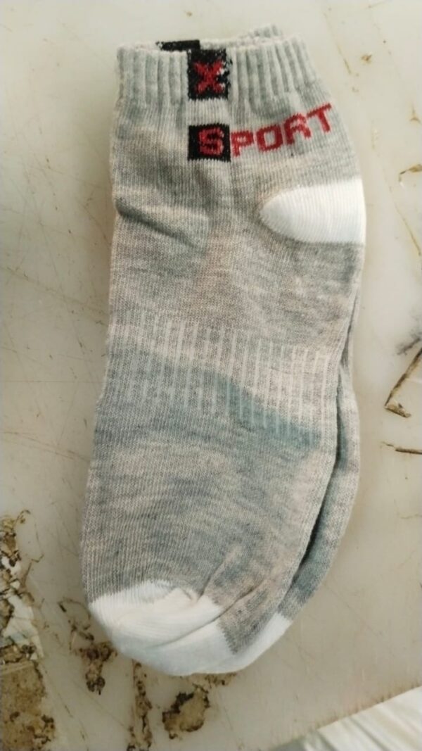 Men Light Grey Printed Colour Casual Socks