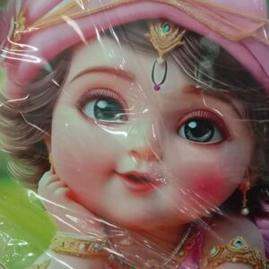 Laddu Gopal Printed Poster 25Cm