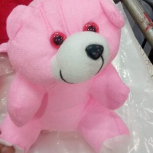 Pink Colour Teddy Bear Small