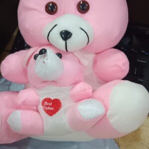 Mother Teddy Soft Toy For Kids Stuffed Toys