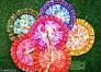 Thakur Ji Zero Size Dress Set Of 9 Multicolor