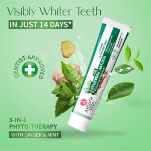 Ayouthveda Natural Whitening Toothpaste Net 100 G