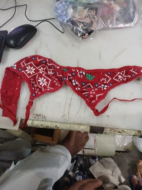 Bra 4 Pic Women Multi Colour