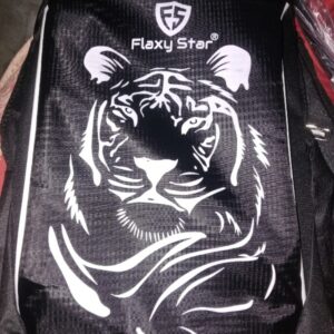Flaxy Star New Stylish and Durable Backpack for Men Womens Black