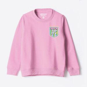 YK Warner Bros Boys Round Neck Sweatshirt pink colour 15 to 16 years
