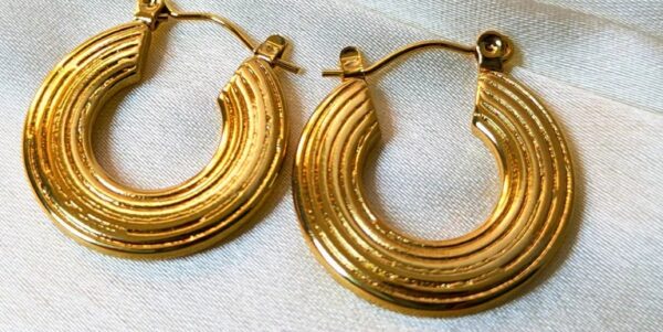 Private Label Hoops Gold Ear Rings