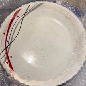 Private Label dinner plate PACK OF 6