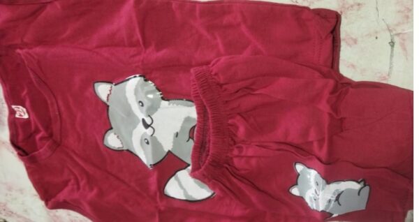 Private Label Little Raccoon Sleeveless Shirt and Shorts For Summer Casual outfit size 22
