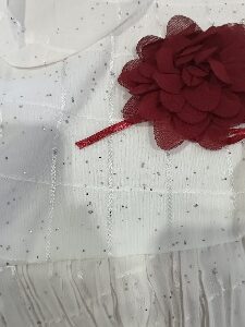 Private Label Girls Dress White maroon free Size