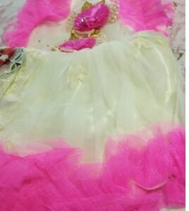 Private Label Stylish Net Party Frock for Girls Floral Embroidery Dress 1 2 years