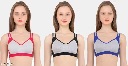 Private Label Womens Sports Bra Free Size Multicolour