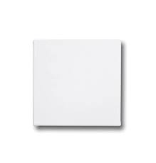 Mini Canvas Board 4X4 Inches