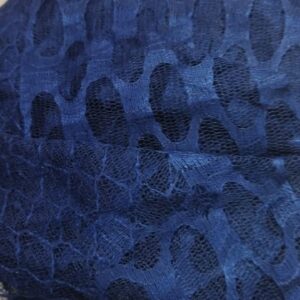 Navy Blue Color Women Net Dupatta