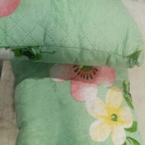Green colour cushion pack of 2