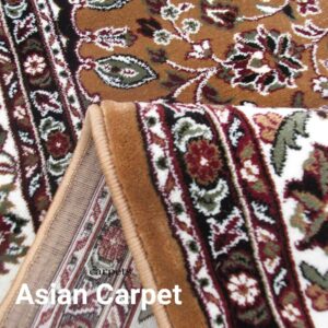 Asian Carpet Traditional Design Carpet for Your Living Room Bedroom HallPoint Size 4 x 6 Gold G4