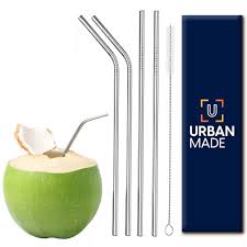 Boldfit Urbanmade Steel Straw Silver Pack Of 5