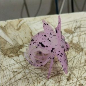 Women Purple Printed Colour Plastic Hair Clips