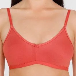 Zivame Dusty Cedar Colour Bra For Women Size 34D