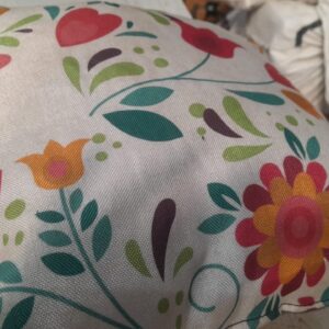 Printed Soft Cushion Multicolour