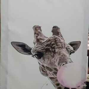 Verre Art Printed Framed Canvas Painting For Home Decor Size 19 X 29 Inch