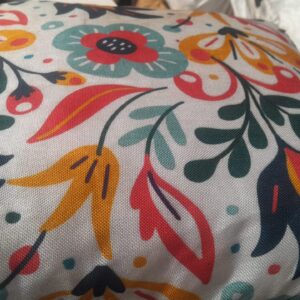 Soft Multicolor Cushion