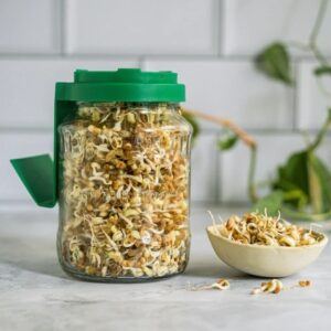 Sprout Maker Glass Jar With Green Lid 700 Ml