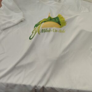 White Colour T Shirt For Kids Boys Size 36