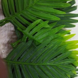 Artificial Plant 18 Leaves Palm Tree