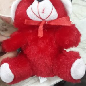 Teddy Bear In Small Size