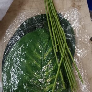 Brand Tree Shop Artificial Flower Real Green Palm Plant Long 18 Leeves Without Pot 60 Cm