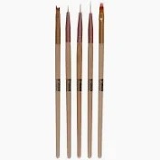 Bronson Professional Nail Art Ombre Brush And Gel Liner Brush Set 5 Pcs