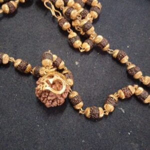 Gems And Rudraksha Brown Chain