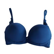 Women Bra Colour Blue Size 34