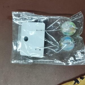 Women Fancy Earrings