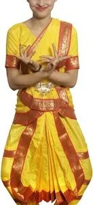 Yellow And Red Color Bharatanatyam Costume Dress For Women Size 40