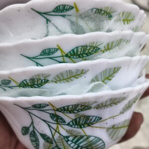 Larah By Borosil Pack Of 4 Opalware Fauna Galaxy Dinner Set White Green Microwave Safe