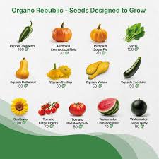Vegetable Seeds Fruits Seeds Bank 25 Varieties Seeds