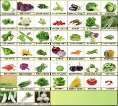 Vegetable Fruits Seeds Bank 45 Varieties Seeds