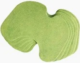 Knee Patch For Pain 10Pc