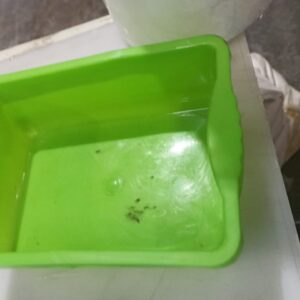 Plastic Container Box Green Colour