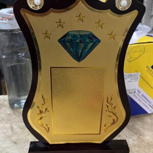 Wooden 11 Inch Board Shield Award Trophy