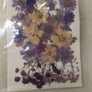 Multiple Mix Natural Pressed Dried Flowers Leaves Diy Arts Crafts