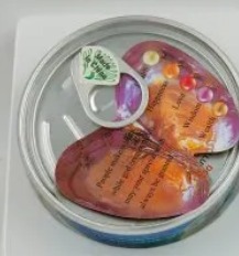 Love Pearl Kit Pearl